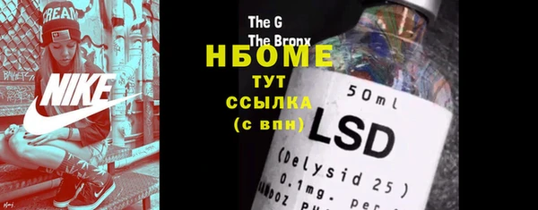 индика Новодвинск
