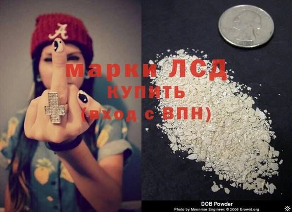 амф Алексин