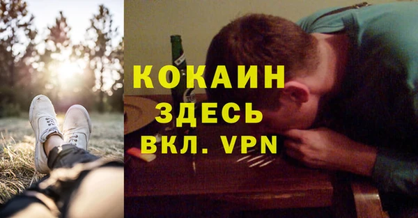 ПСИЛОЦИБИНОВЫЕ ГРИБЫ Алексеевка