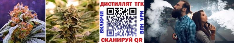 ТГК вейп  Ижевск 