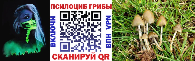 сколько стоит  Ижевск  OMG ТОР  Галлюциногенные грибы мицелий 